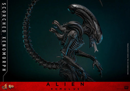 Hot Toys 1/6 Scorched Xenomorph - Alien Romulus Sleek Geek Collectibles