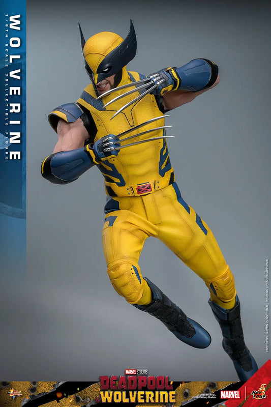 Hot Toys 1/6 Wolverine - Deadpool & Wolverine Sleek Geek Collectibles