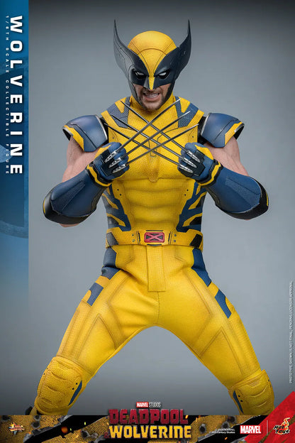 Hot Toys 1/6 Wolverine - Deadpool & Wolverine Sleek Geek Collectibles