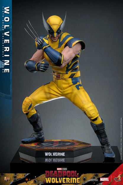 Hot Toys 1/6 Wolverine - Deadpool & Wolverine Sleek Geek Collectibles