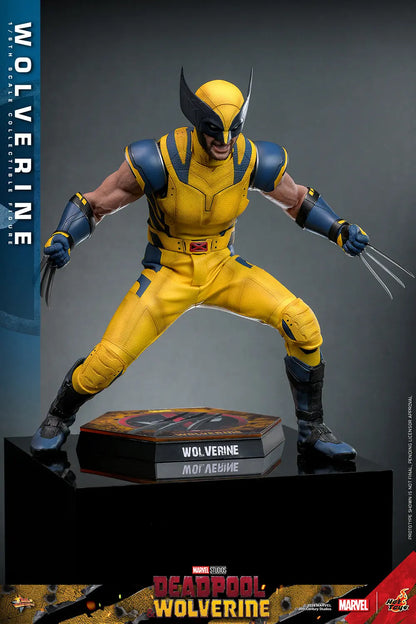 Hot Toys 1/6 Wolverine - Deadpool & Wolverine Sleek Geek Collectibles