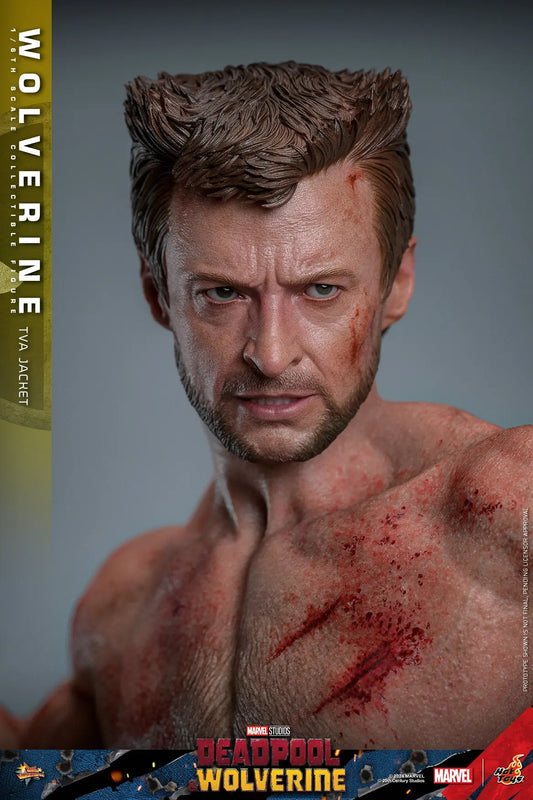 Hot Toys 1/6 Wolverine TVA Jacket - Deadpool & Wolverine Sleek Geek Collectibles