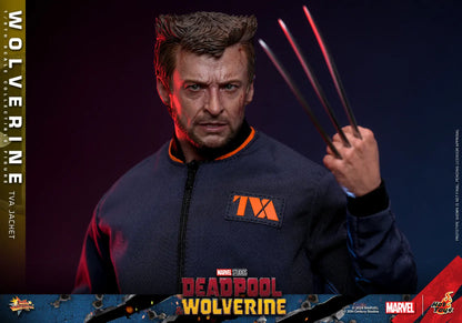 Hot Toys 1/6 Wolverine TVA Jacket - Deadpool & Wolverine Sleek Geek Collectibles