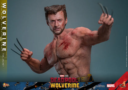 Hot Toys 1/6 Wolverine TVA Jacket - Deadpool & Wolverine Sleek Geek Collectibles