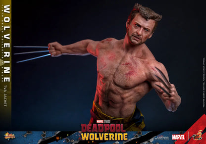 Hot Toys 1/6 Wolverine TVA Jacket - Deadpool & Wolverine Sleek Geek Collectibles