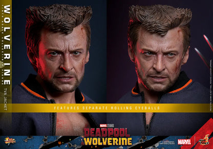 Hot Toys 1/6 Wolverine TVA Jacket - Deadpool & Wolverine Sleek Geek Collectibles