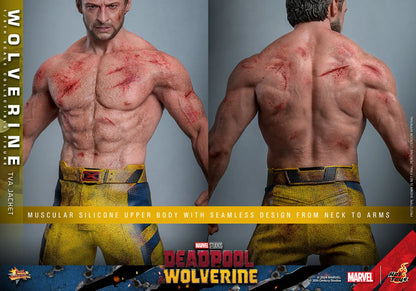Hot Toys 1/6 Wolverine TVA Jacket - Deadpool & Wolverine Sleek Geek Collectibles