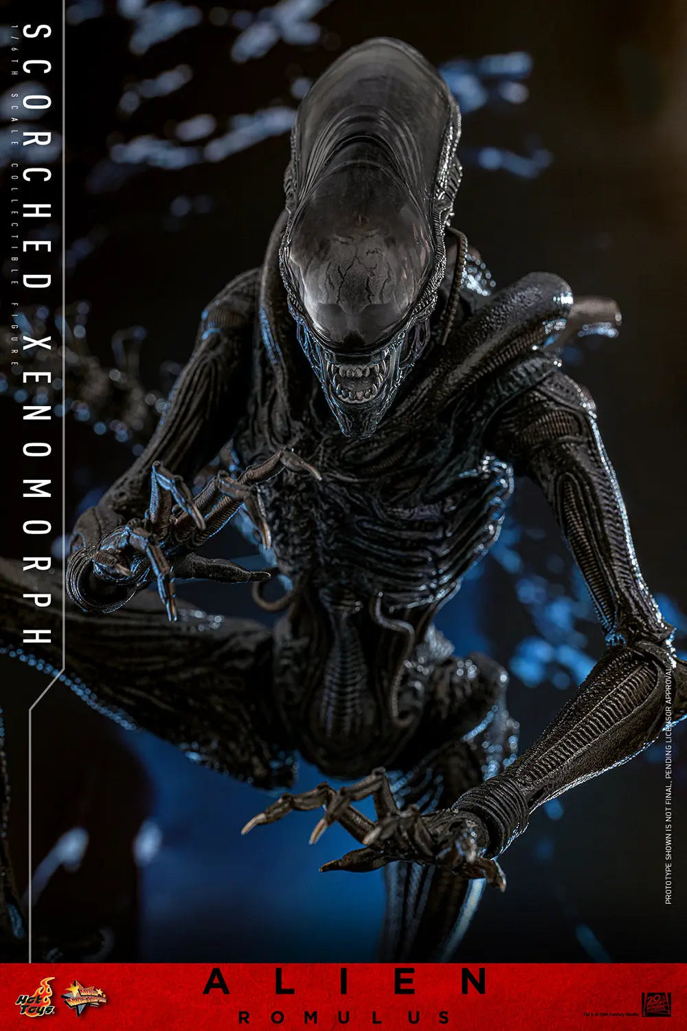 Hot Toys 1/6 Scorched Xenomorph - Alien Romulus Sleek Geek Collectibles