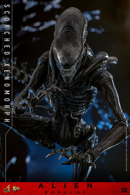 Hot Toys 1/6 Scorched Xenomorph - Alien Romulus Sleek Geek Collectibles