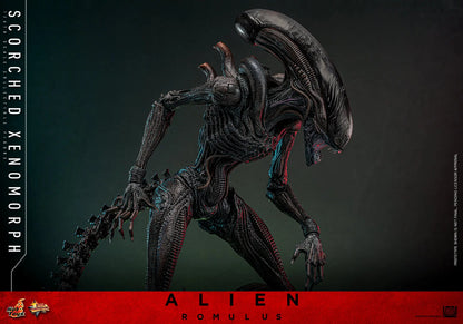 Hot Toys 1/6 Scorched Xenomorph - Alien Romulus Sleek Geek Collectibles