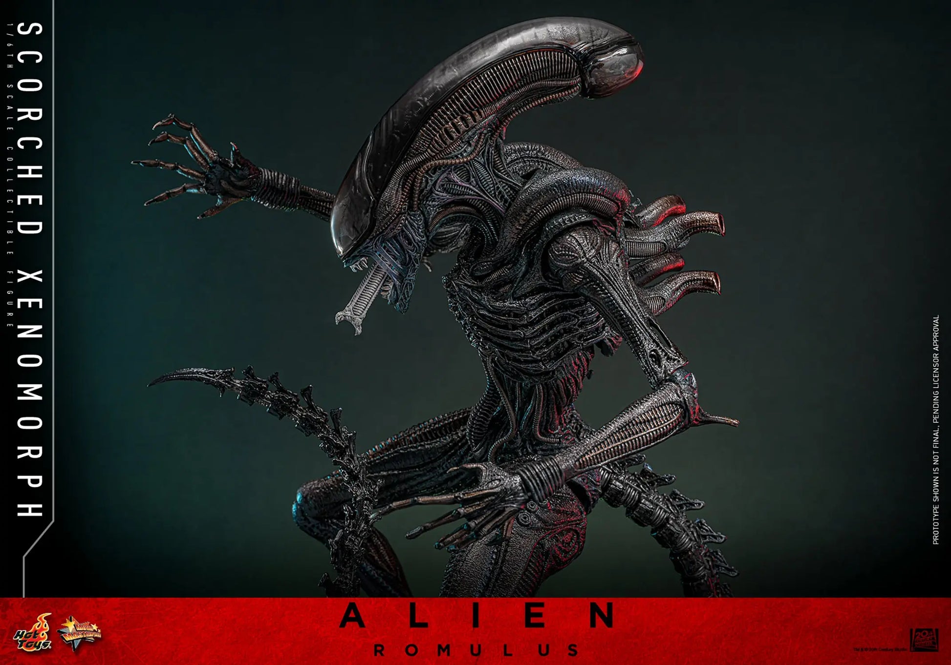 Hot Toys 1/6 Scorched Xenomorph - Alien Romulus Sleek Geek Collectibles