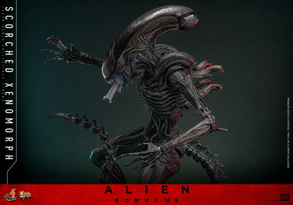 Hot Toys 1/6 Scorched Xenomorph - Alien Romulus Sleek Geek Collectibles