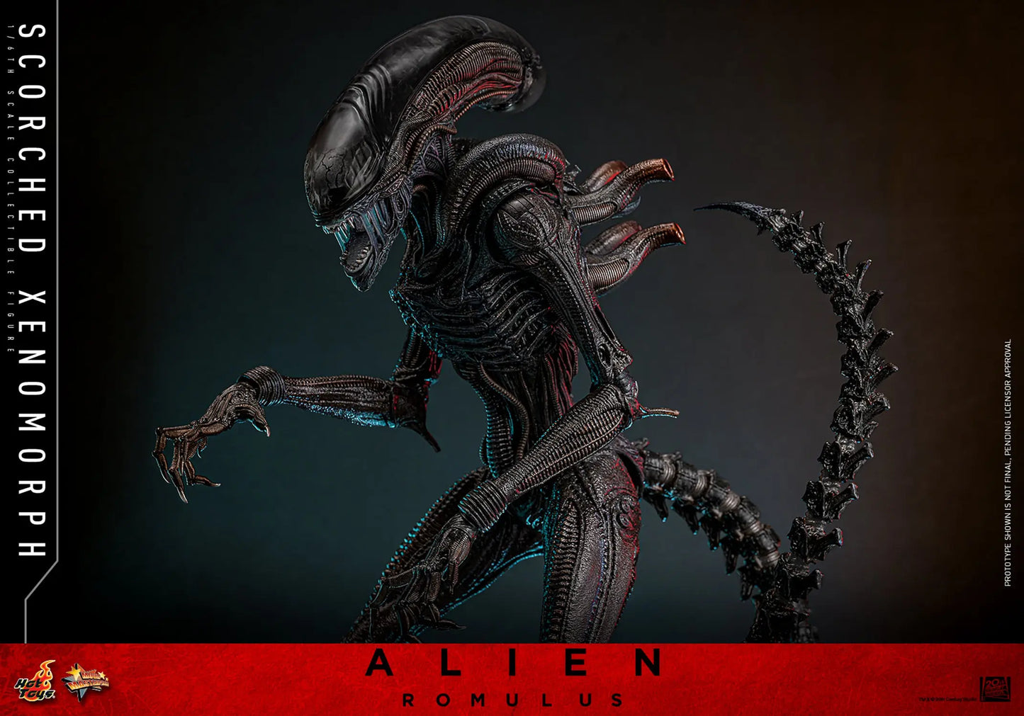 Hot Toys 1/6 Scorched Xenomorph - Alien Romulus Sleek Geek Collectibles