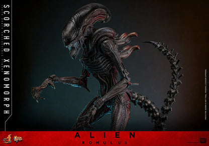 Hot Toys 1/6 Scorched Xenomorph - Alien Romulus Sleek Geek Collectibles