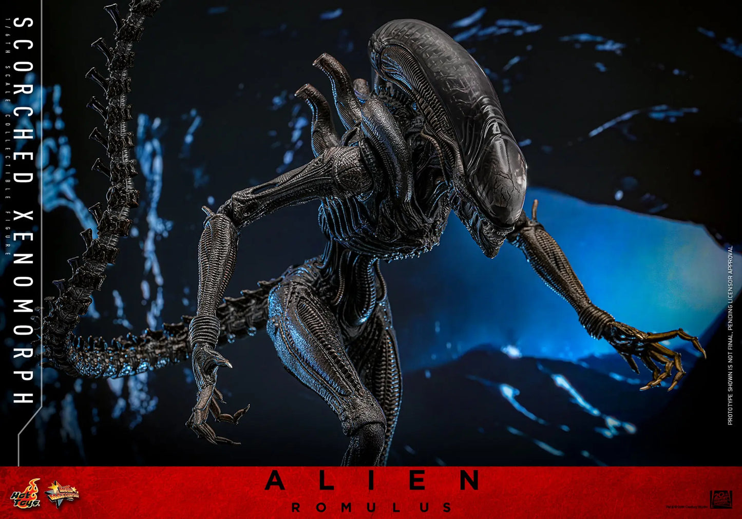 Hot Toys 1/6 Scorched Xenomorph - Alien Romulus Sleek Geek Collectibles