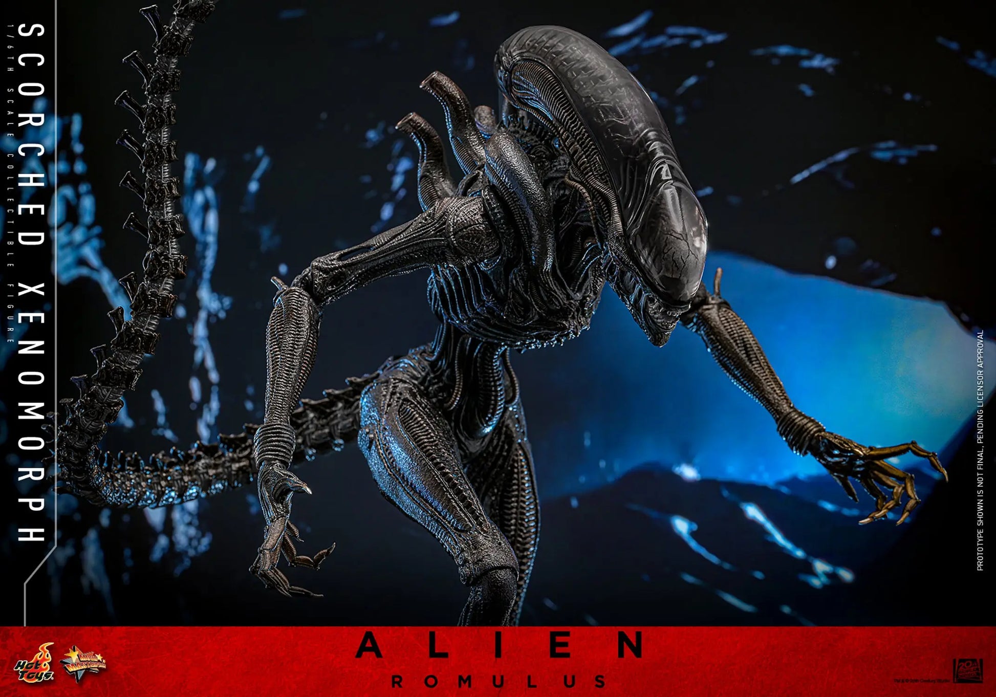 Hot Toys 1/6 Scorched Xenomorph - Alien Romulus Sleek Geek Collectibles