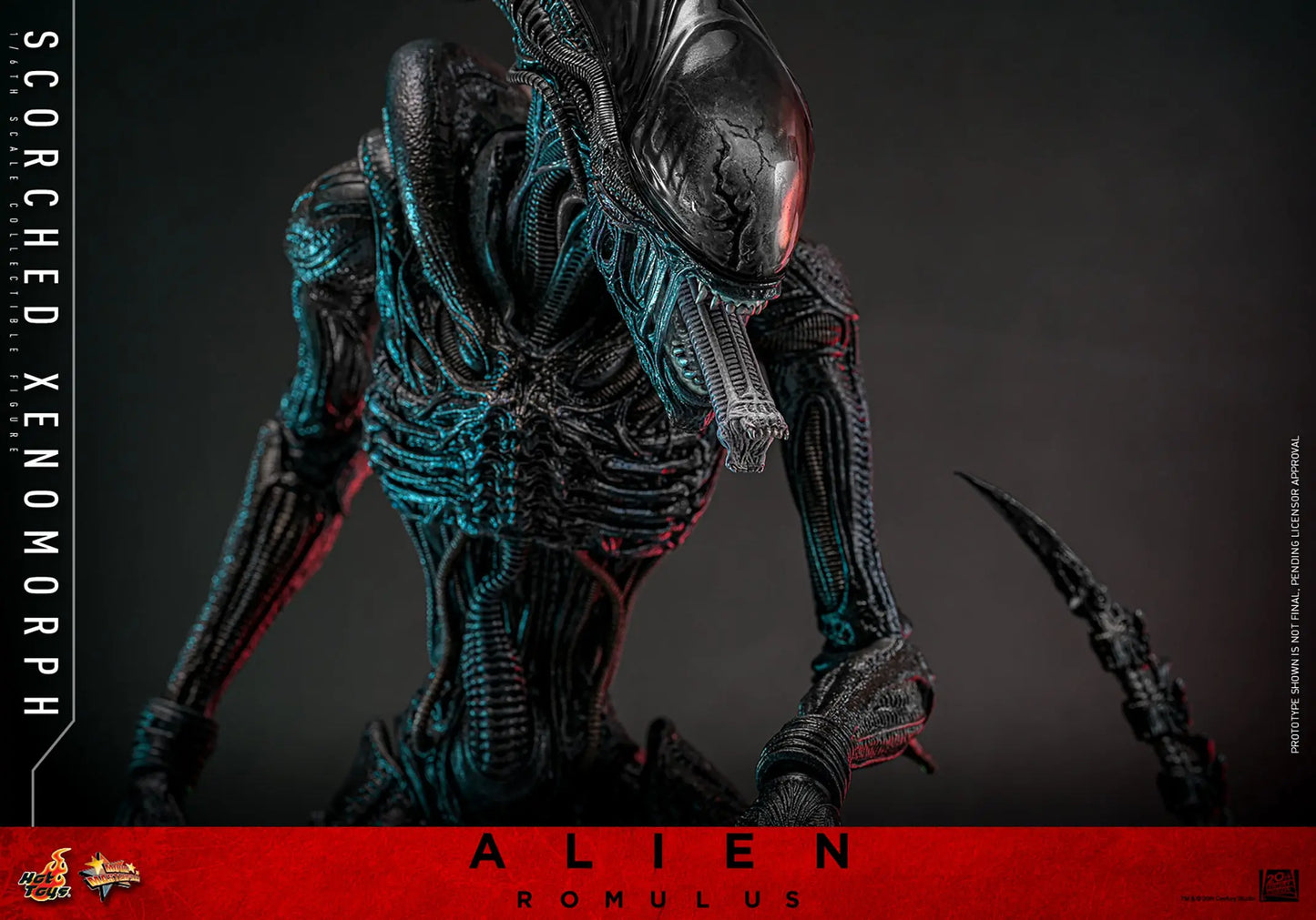 Hot Toys 1/6 Scorched Xenomorph - Alien Romulus Sleek Geek Collectibles