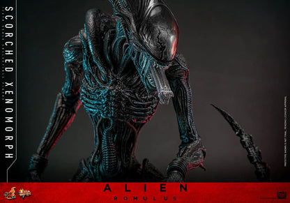 Hot Toys 1/6 Scorched Xenomorph - Alien Romulus Sleek Geek Collectibles