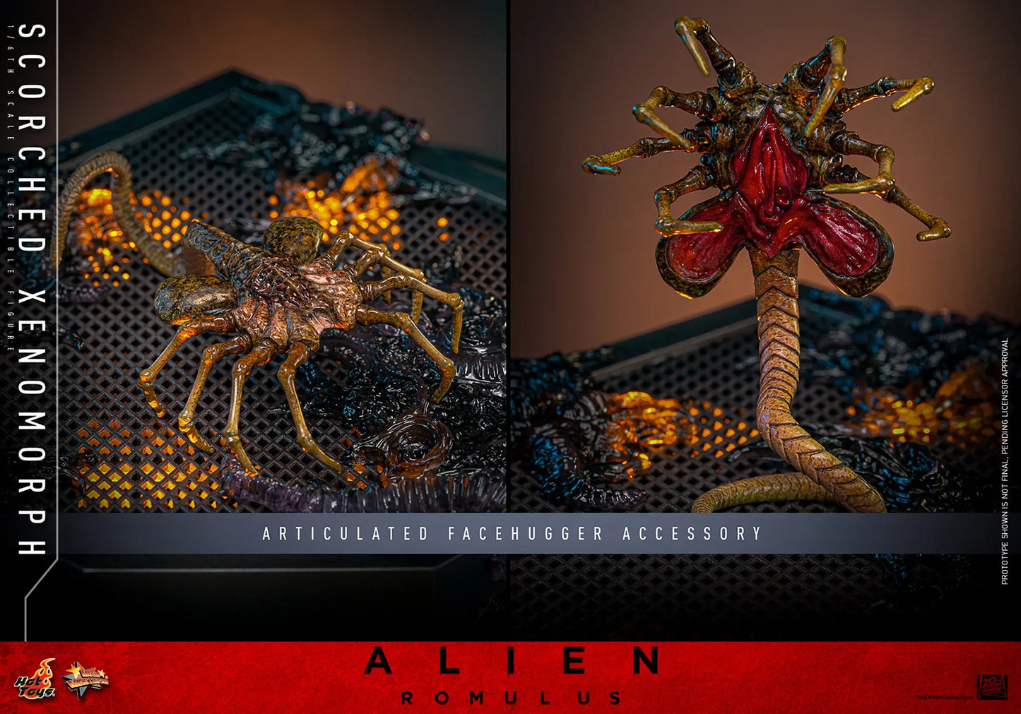 Hot Toys 1/6 Scorched Xenomorph - Alien Romulus Sleek Geek Collectibles