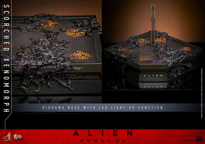 Hot Toys 1/6 Scorched Xenomorph - Alien Romulus Sleek Geek Collectibles