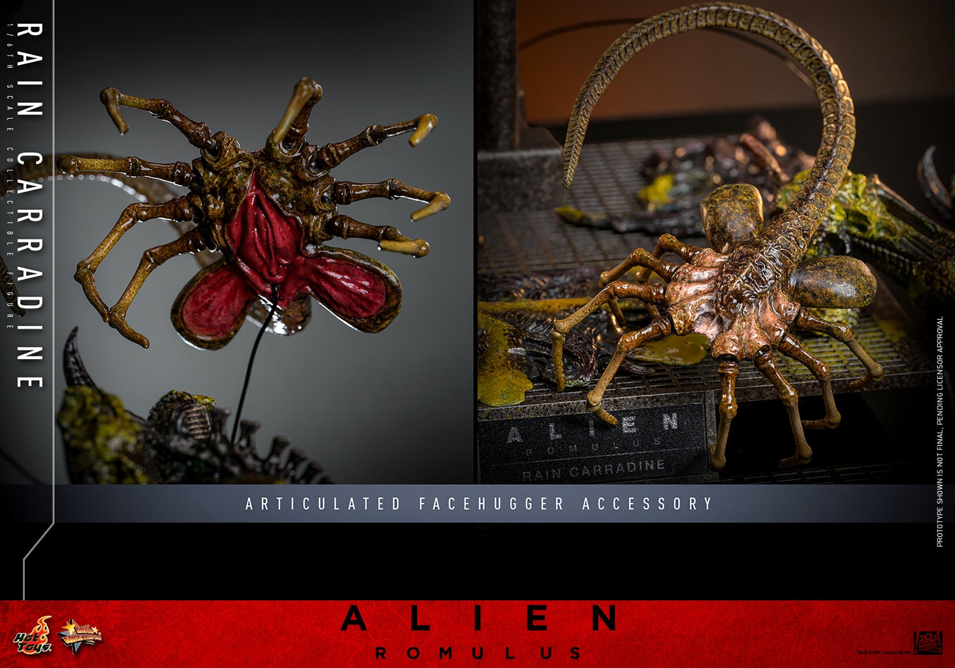 Hot Toys 1/6 Rain Carradine - Alien Romulus Sleek Geek Collectibles