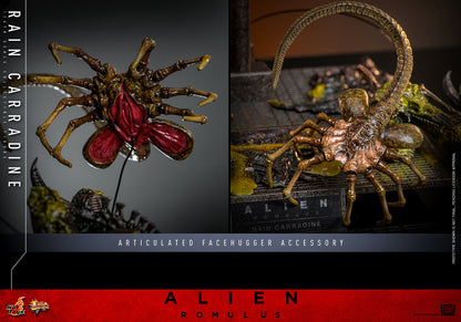 Hot Toys 1/6 Rain Carradine - Alien Romulus Sleek Geek Collectibles